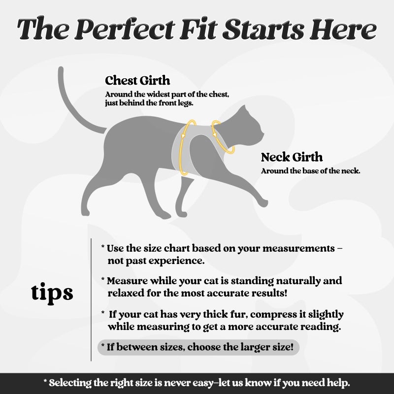 rabbitgoo Cat Harness and Leash Set for Walking Escape Proof, Adjustable Soft Kittens Vest with Reflective Strip for Cats, Comfortable Outdoor Vest, Black, M - Image 2